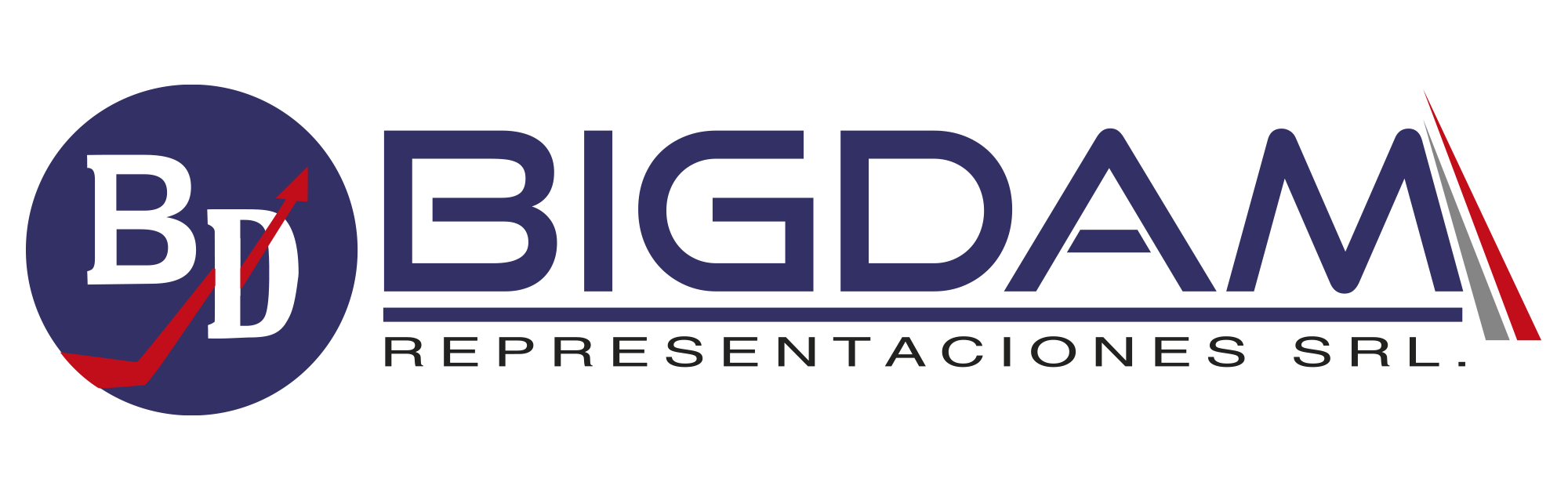 Bigdam